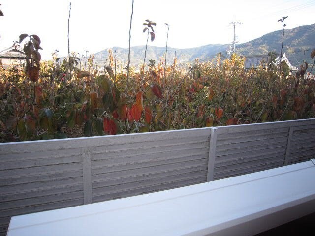 オオタニ織平Aの物件内観写真