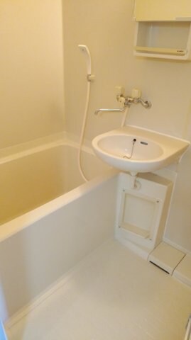 シャルマンフジ中之島壱番館の物件内観写真