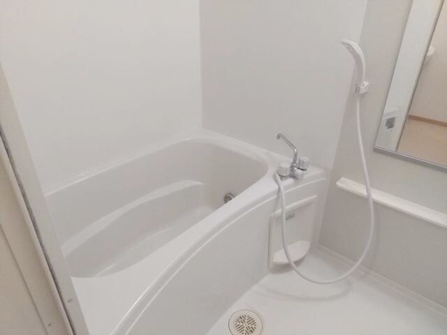 メゾン・ド・シャルーレⅡの物件内観写真