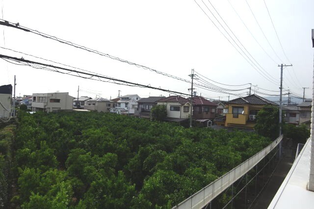 メゾン・ド・ソレイユ　Ａの物件内観写真