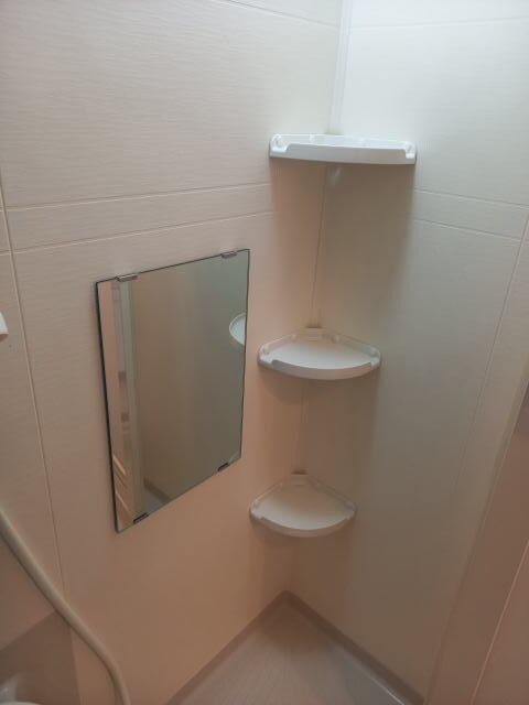 紀伊中ノ島駅 徒歩13分 2階の物件内観写真