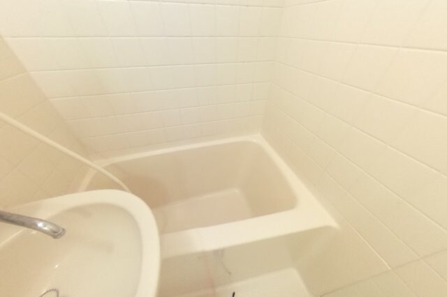 シャンティイ中ノ島の物件内観写真