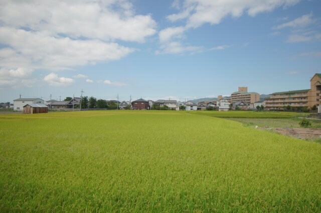 紀伊駅 徒歩22分 1階の物件内観写真