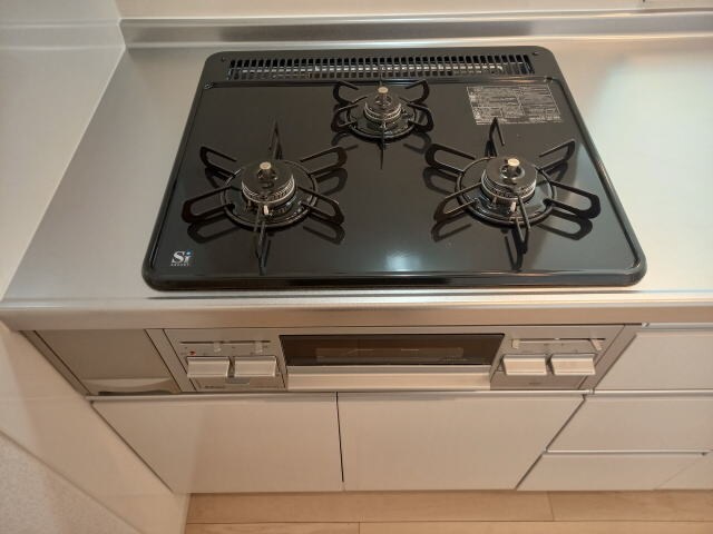 スウィート岩出Ⅲの物件内観写真