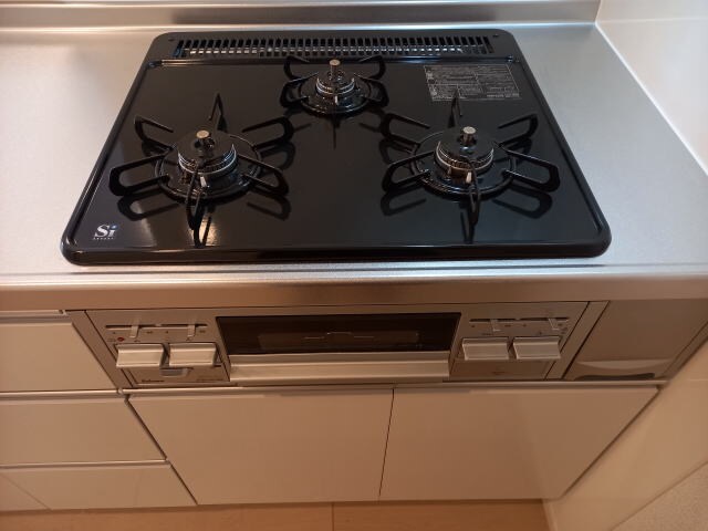 スウィート岩出Ⅲの物件内観写真