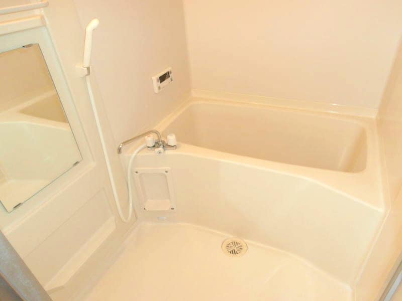 Ｒｉｔｚ　Ｃａｒｌｔｏｎの物件内観写真