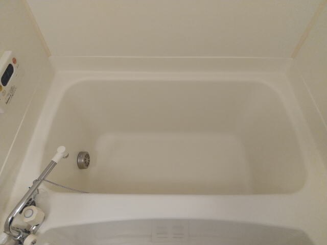 メゾンコニファーⅡの物件内観写真