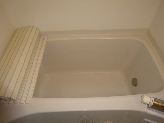 Atlantisの物件内観写真