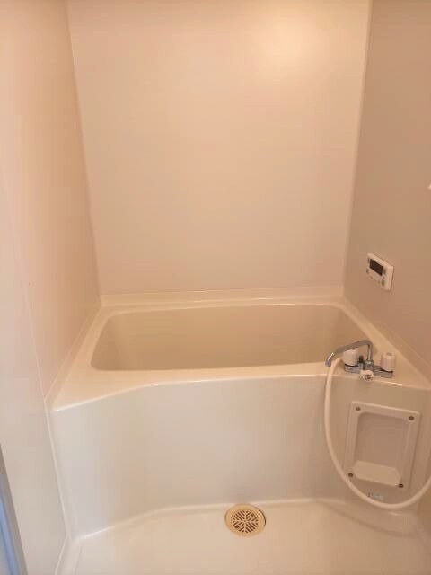 Ｒiｔｚ　Ｃaｒｌｔｏｎの物件内観写真