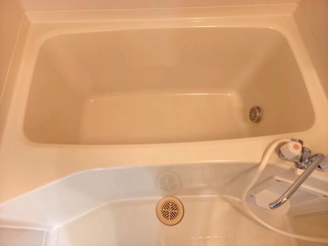 Ｒiｔｚ　Ｃaｒｌｔｏｎの物件内観写真