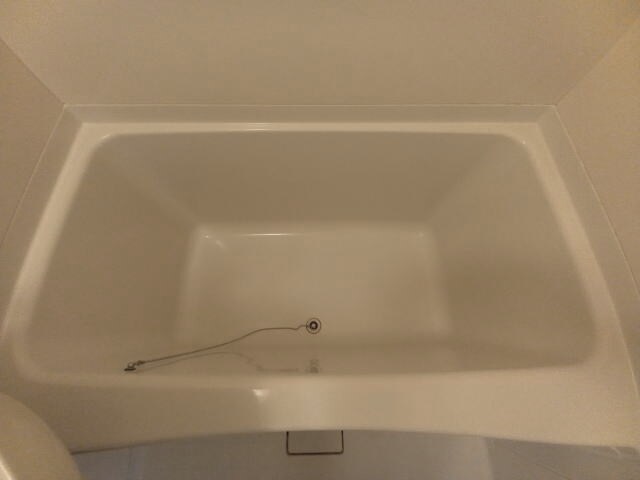 エクセルハイツ神前の物件内観写真