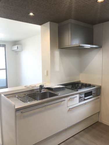 紀三井寺駅 徒歩12分 1階の物件内観写真