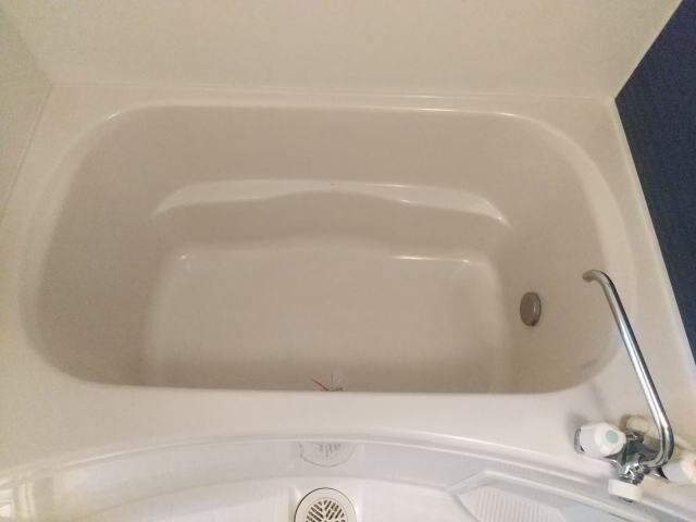 プランテーションの物件内観写真