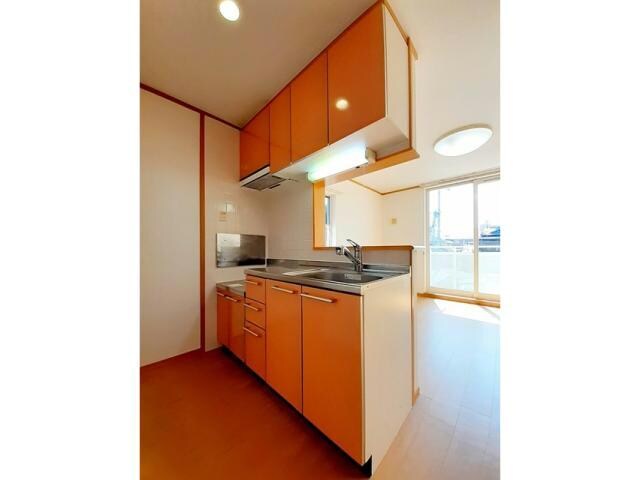 プラシードカーサⅡの物件内観写真