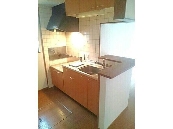 アルカザーレふじの物件内観写真