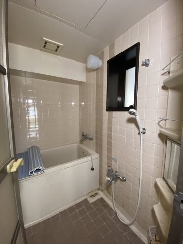 ダイアパレス中宝永町の物件内観写真