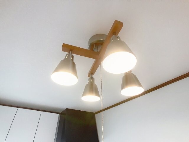 グリーンオアシス林の物件内観写真