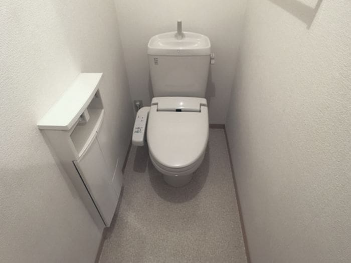 メイプルリーフ Ｃの物件内観写真