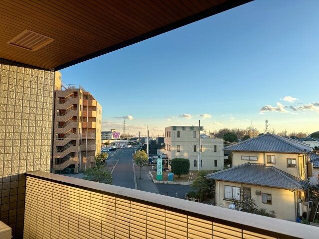 自治医大駅 徒歩3分 3階の物件内観写真