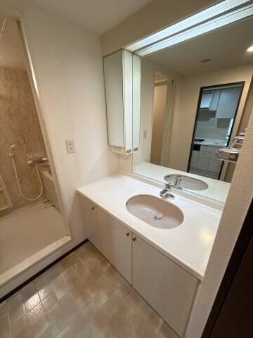 ミラパセオ自治医大壱番館の物件内観写真