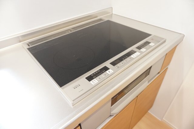 ピーノ・ヴィオラ 住居の物件内観写真