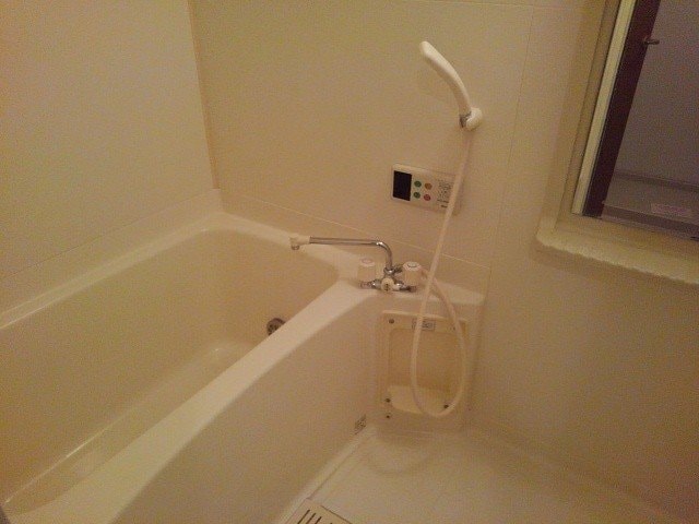 ホワイトリリ－Ｂの物件内観写真