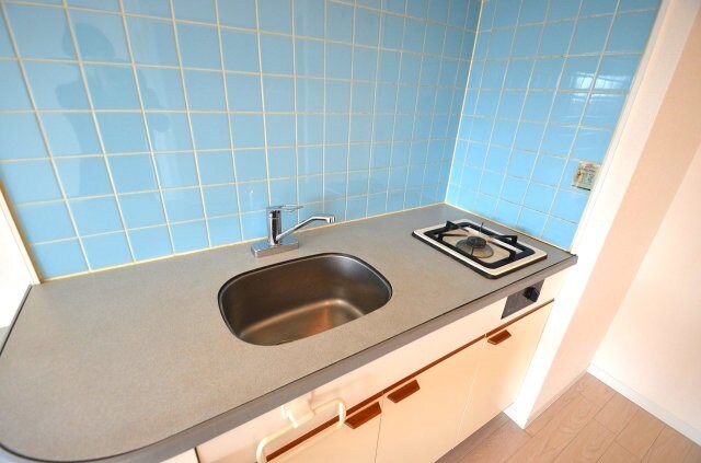 ドミール星が丘の物件内観写真