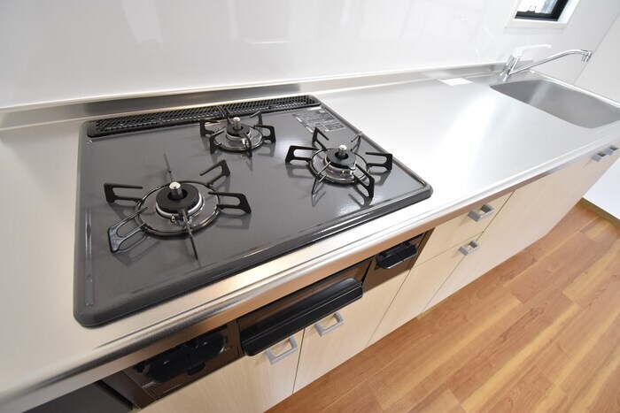 パラシオ樹太 A棟の物件内観写真