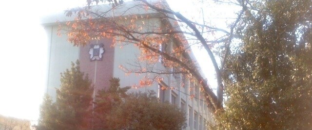 グレイスフル　Ⅱの物件内観写真