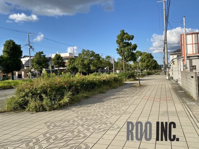 カサ・ヴィアーレⅡの物件内観写真