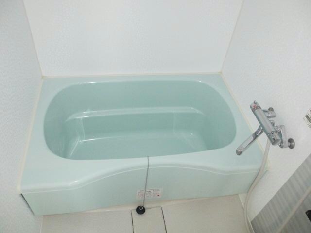 矢場町駅 徒歩10分 3階の物件内観写真