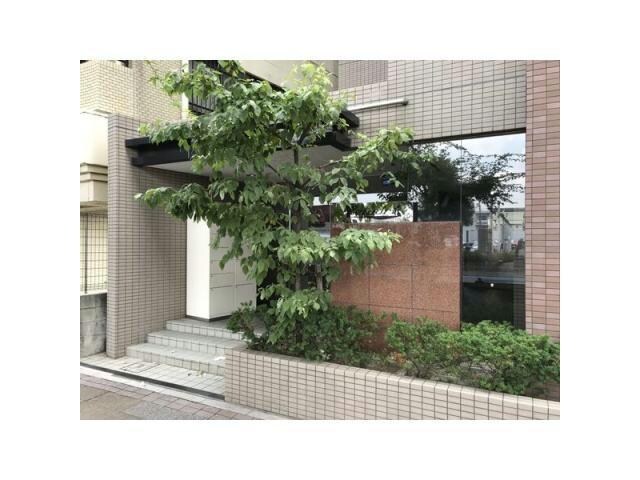 清水駅 徒歩5分 5階の物件外観写真