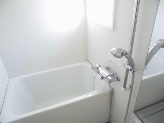 新栄町駅 徒歩5分 5階の物件内観写真