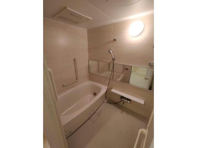 矢場町駅 徒歩5分 8階の物件内観写真