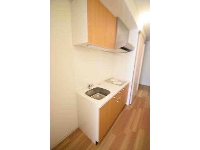 丸の内駅 徒歩3分 10階の物件内観写真