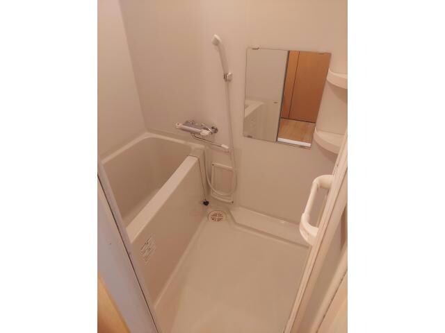 矢場町駅 徒歩4分 6階の物件内観写真