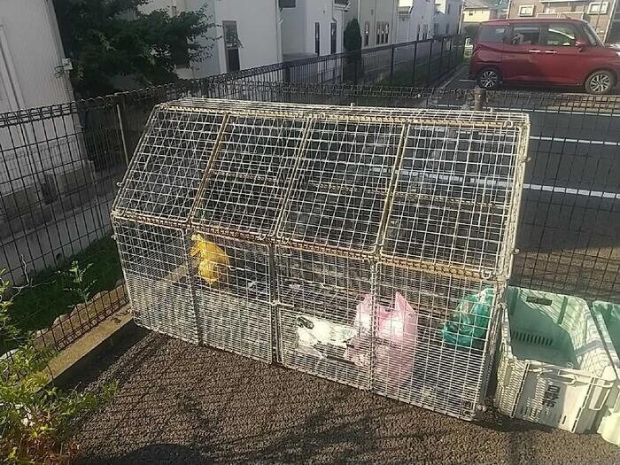 SeLeneの物件内観写真