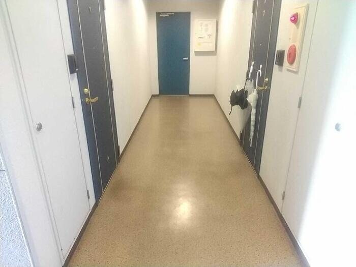 SeLeneの物件内観写真