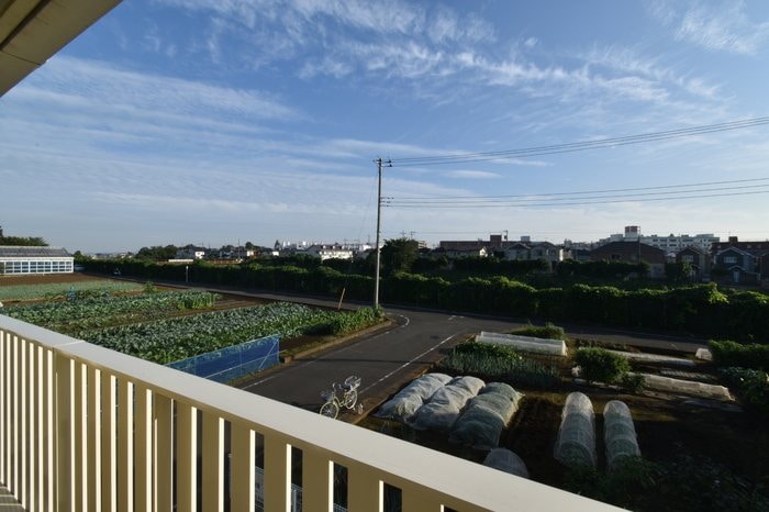 ヒラソルの物件内観写真