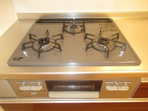 ホワイトクレイン野洲の物件内観写真