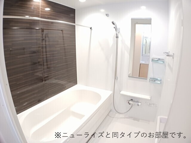 プラシード・アロッジオⅣの物件内観写真