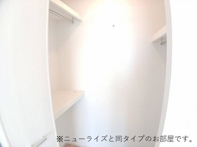 プラシード・アロッジオⅣの物件内観写真