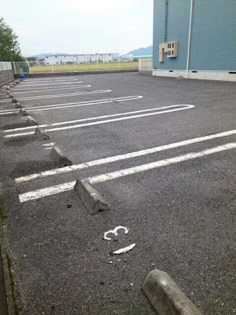 グレイス　ロマーヌⅡの物件外観写真