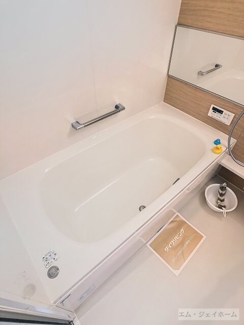 Ｒａｆｆｉｎｅ　Ｂｉｗａの物件内観写真