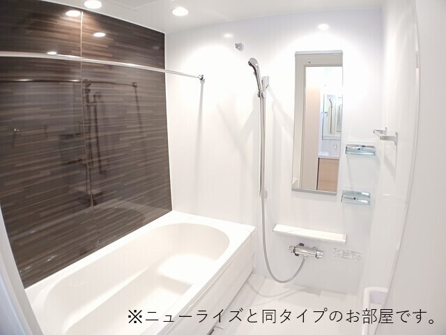 プラシード・アロッジオⅣの物件内観写真