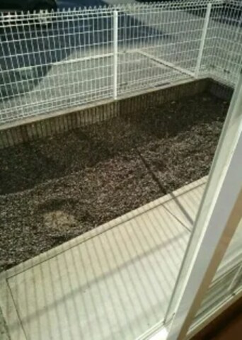 サンウエスト　カワセの物件内観写真