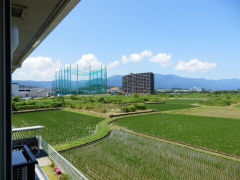 レイクアヴェニューの物件内観写真