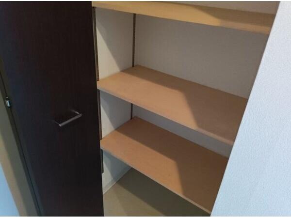 レジディア大通西の物件内観写真