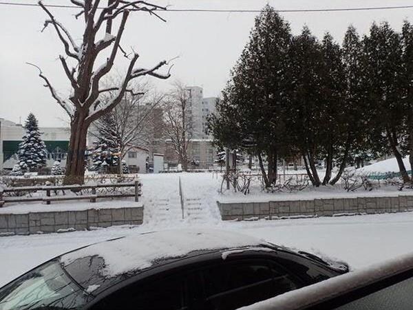 ミラベルパーク宮の森の物件内観写真