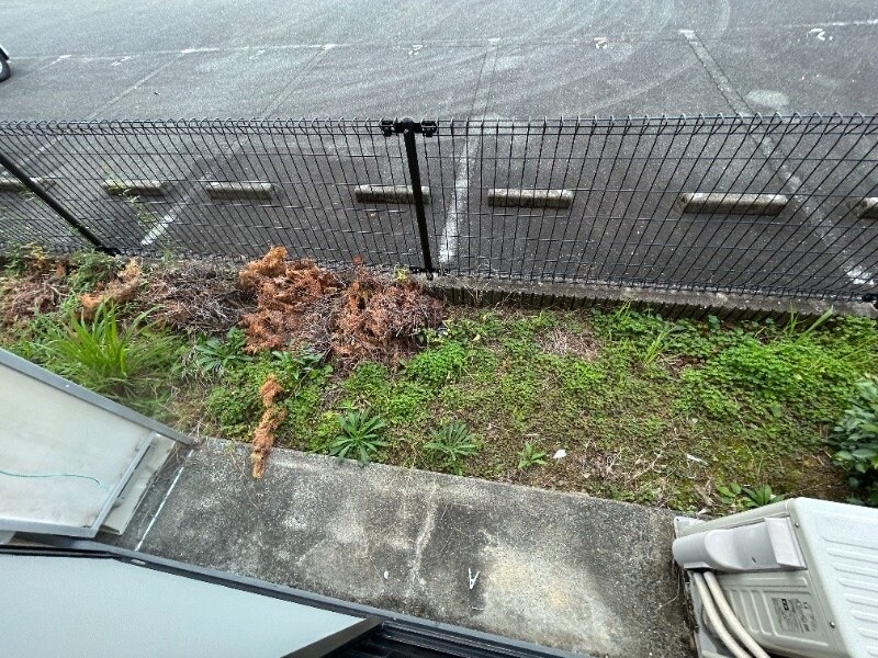 MOTOKOGAⅡの物件内観写真